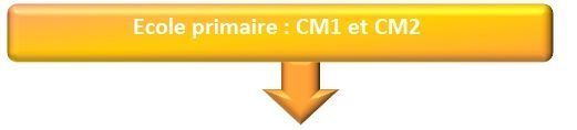 La structure de l’établissement