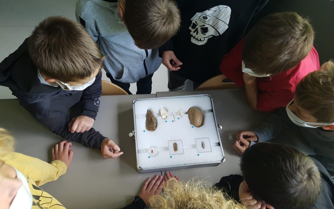 La Préhistoire s’invite au collège