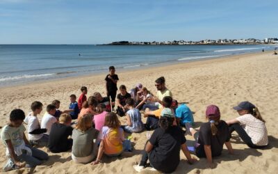 Journée à Saint Gilles Croix-de-Vie pour les 6e